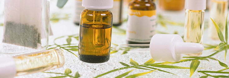 melt blog science of essential oils fake versions
