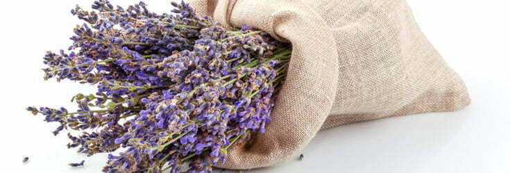 What-does-your-choice-of-scent-say-about-you-lavendar