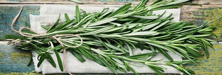 Rosemary herb scent