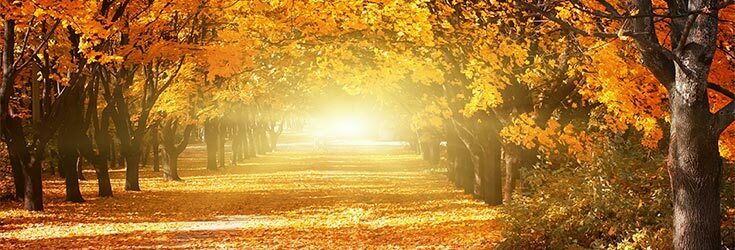 4 things we love about autumn feature image