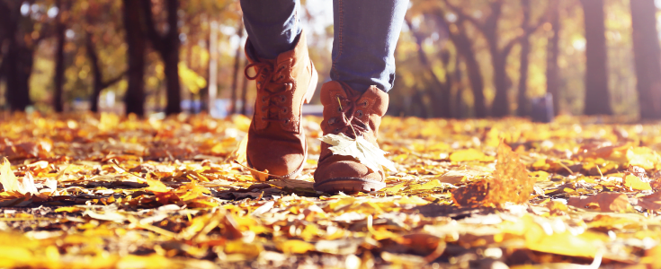 walk in autumn