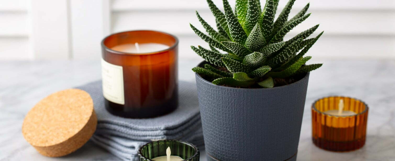potted plant candle